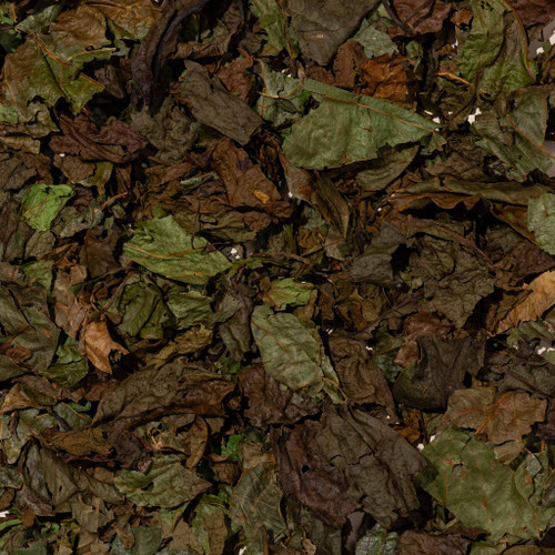 Yagé Leaves