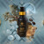 Copaiba extract bottle collage with copaiba tree, capybara, and rainbow