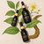Ambi Sacha tincture bottles displayed with vine in natural setting