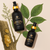 Amazonian white copal oil bottles in 2 oz and 4 oz sizes with copal tree resin diagram