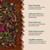 Amor plant bath leaves infographic with traditional plant information