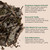 Guarumo leaves infographic with traditional plant information