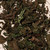Destrancadera leaves dried plant material on beige background