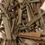 Anima zarandango leaves dried plant material on beige background