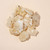 Copal Blanco resin pieces on beige background
