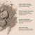 Breu Branco incense resin pieces infographic with traditional benefits