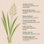 Sweetgrass Braids