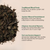 King nettle ortiga leaves infographic with traditional plant information