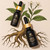 Caboclo Sananga eyedrops bottle with illustrated diagram of sananga shrub