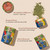 Tree of Life tobacco free Hapé infographic highlighting ceremonial benefits and product jar