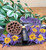 Full-Spectrum Blue Flower Tincture