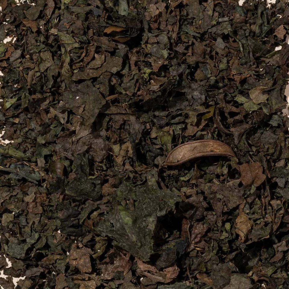 Amazonian King Nettle Ortiga Tincture