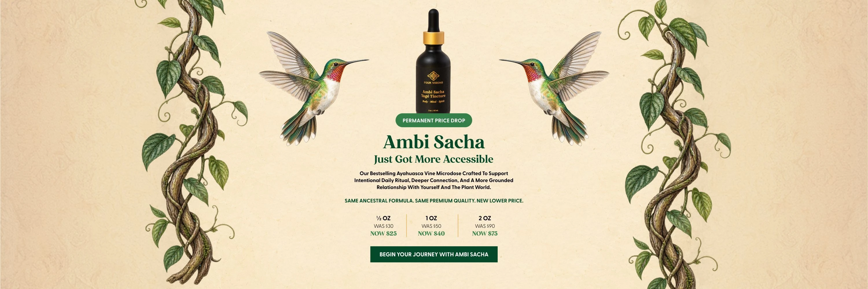 Ambi sacha