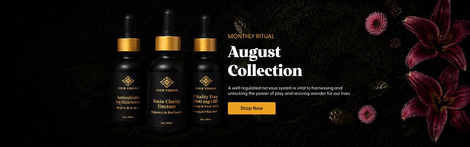 Discover our august collection