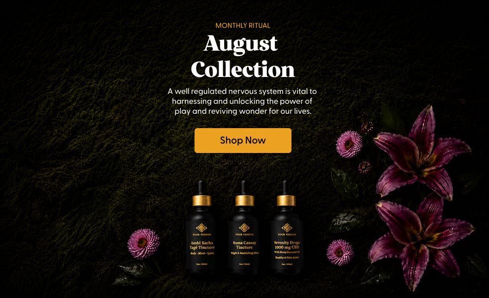 Discover our august collection