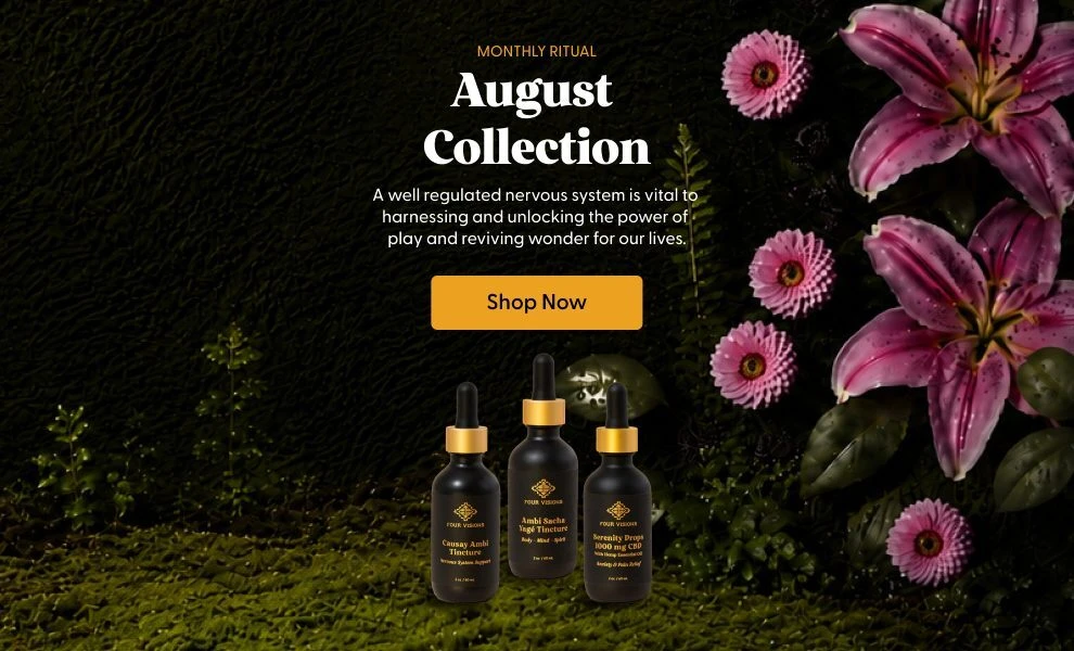 Discover our august collection