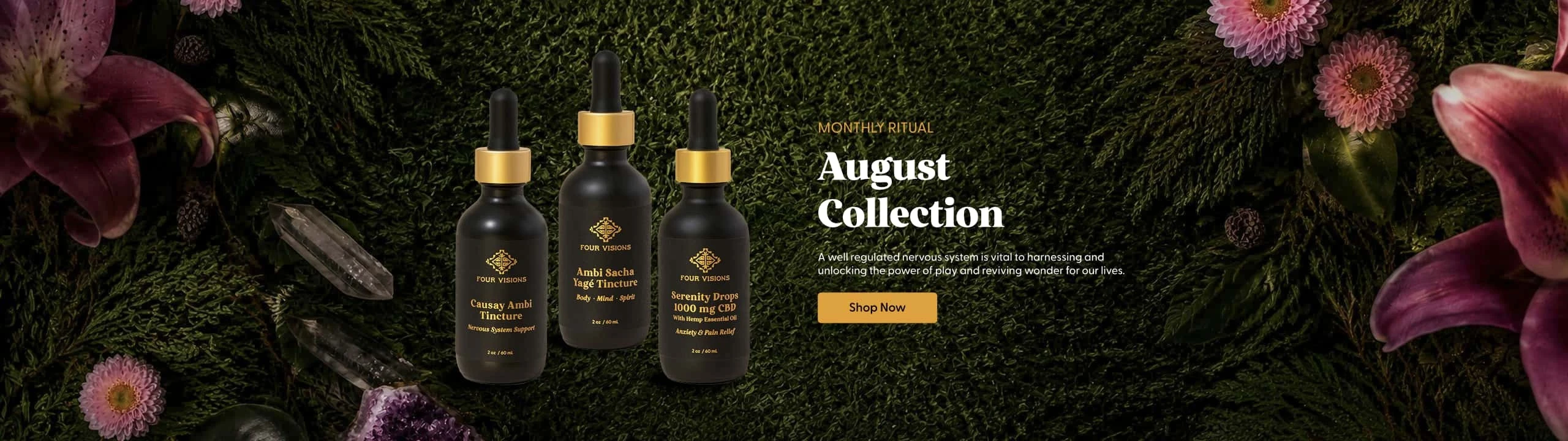 Discover our august collection