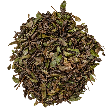 Bobinsana Leaves