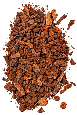 Chuchuhuasi Bark