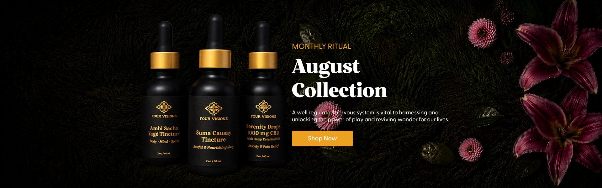 Discover our august collection