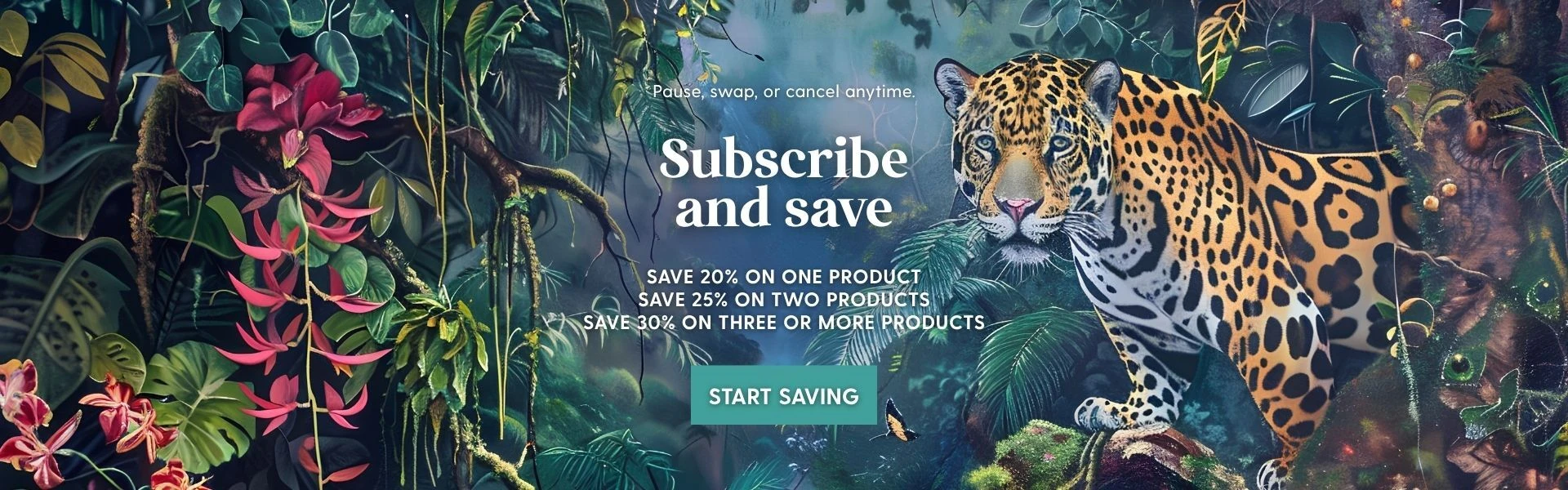 Subscribe More, Save More