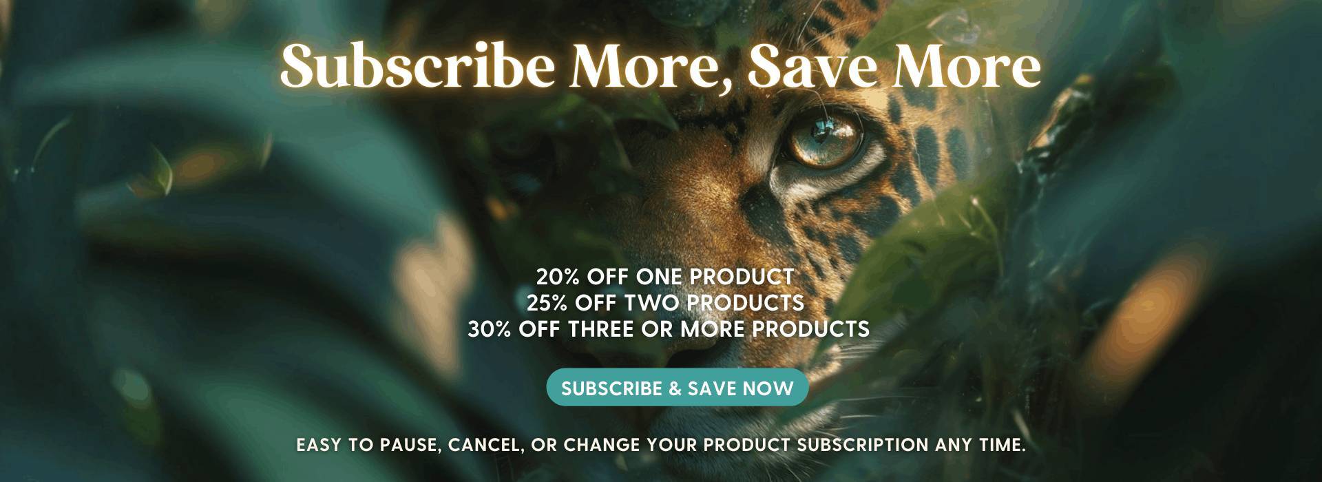 Subscribe more save more