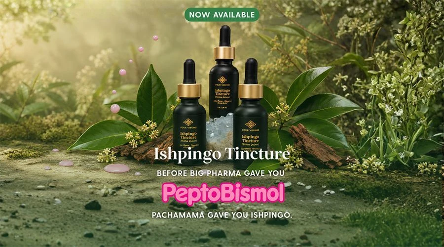 Four visions - Ishpingo tincture 