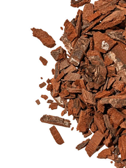 Ishpingo Bark