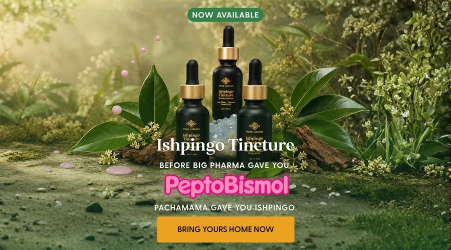 Four visions - Ishpingo tincture 