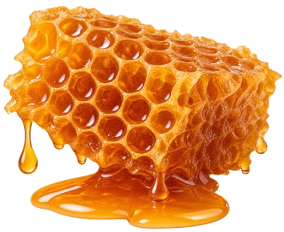 Melipona Honey Eyedrops