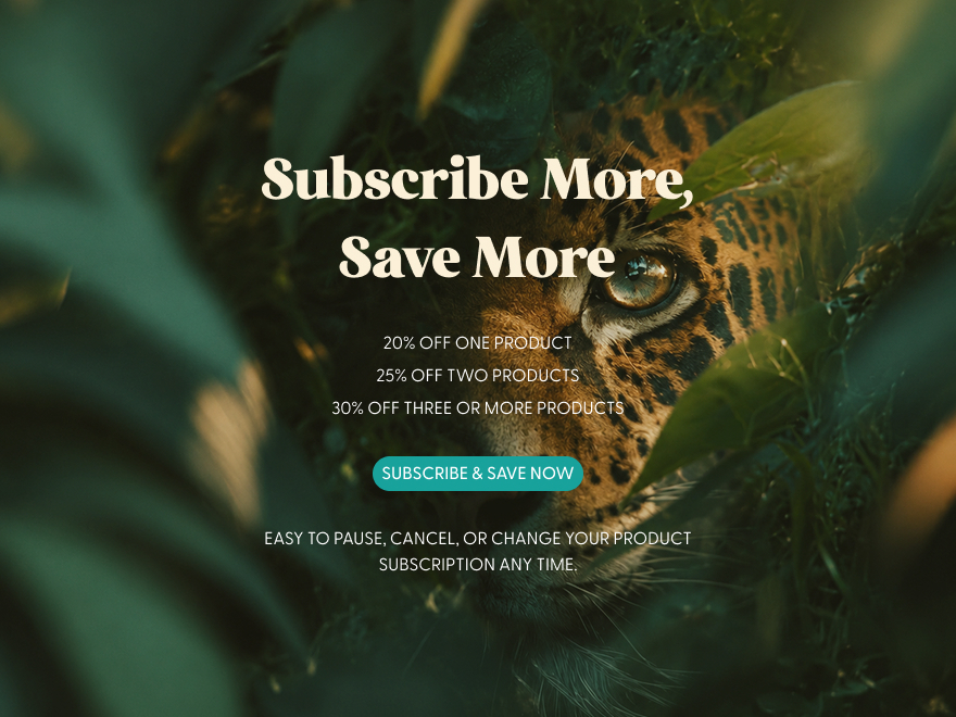 Subscribe More, Save More