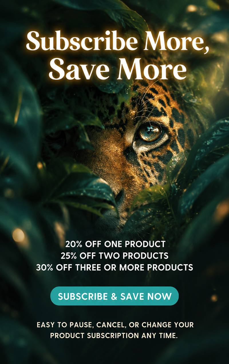 subscribe more save more