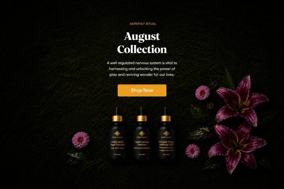 Discover our august collection