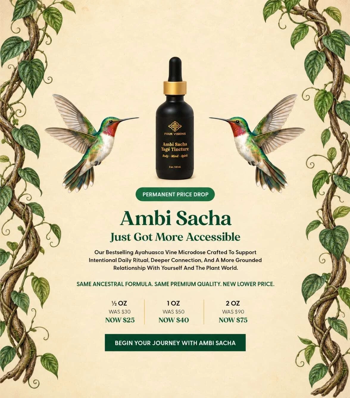 Ambi sacha