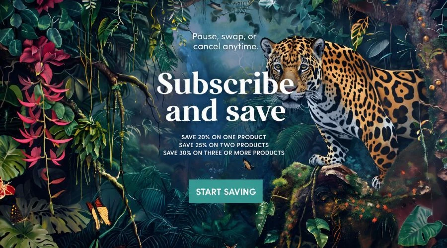 Subscribe More, Save More