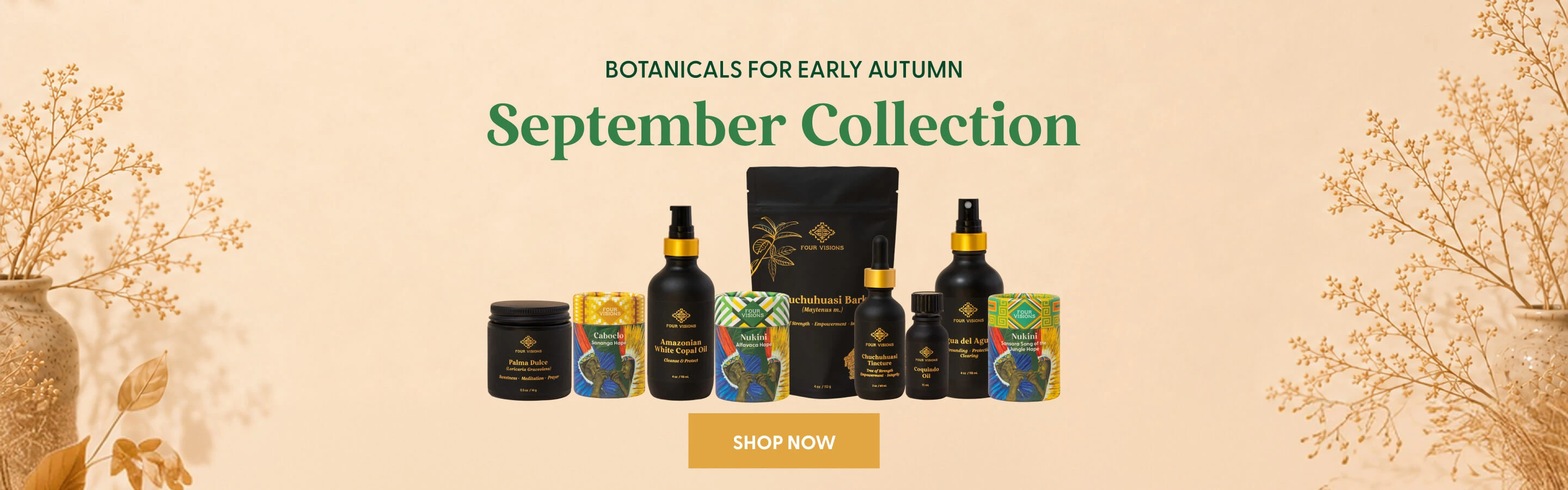 Discover our august collection
