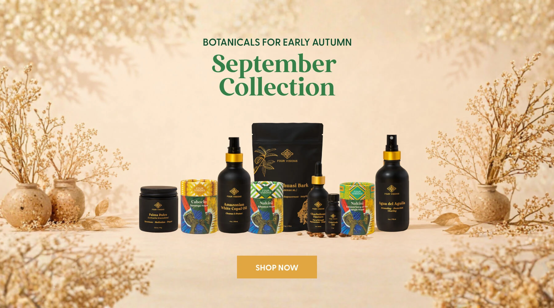 Discover our august collection