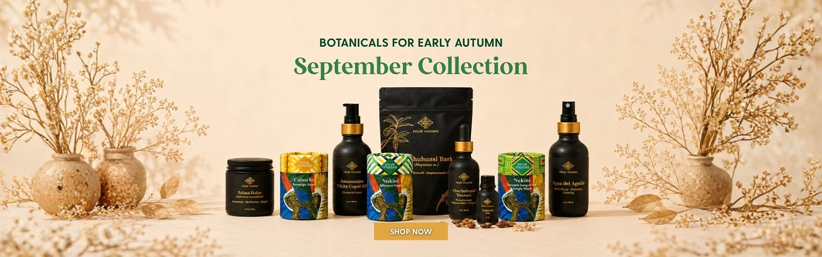 Discover our august collection