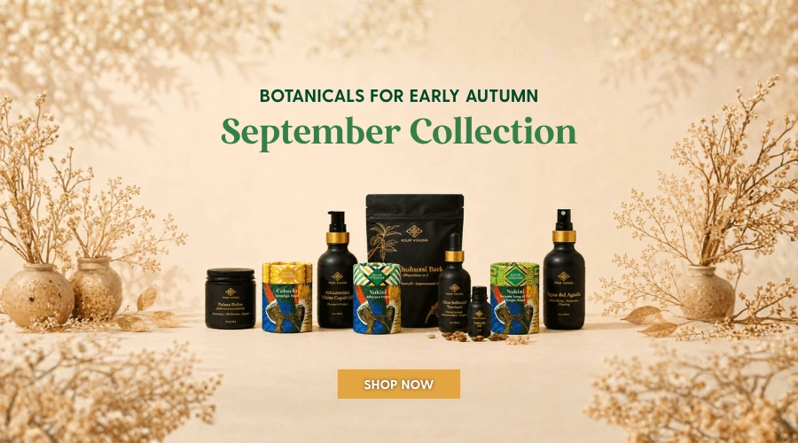 Discover our august collection