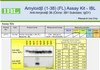 Amyloid Beta (1-38) (FL) Aβ