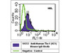 Tie-1 (9C1) Anti-Human Mouse IgG MoAb