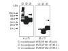 VEGF (V-N) Anti-Human Rabbit IgG Affinity Purify 1