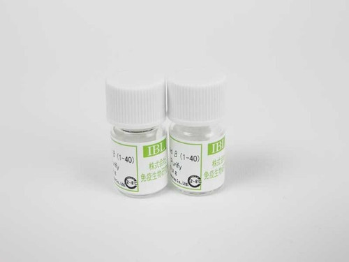 Nestin (N1602) Anti-Human Rabbit IgG Affinity Purify, 18741