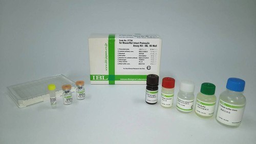 Intact Proinsulin