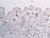 ORP150 (Oxygen Regulated Protein, p150) (2F07) Anti-Human Mouse IgG MoAb