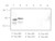 τ/Amino Junction (9A1) Anti-Human Mouse IgG MoAb 1