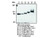 APP (N) (10D1) Anti-Human Mouse IgG MoAb 1
