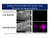 CEA (1B2) Anti-Human Mouse IgG MoAb 2