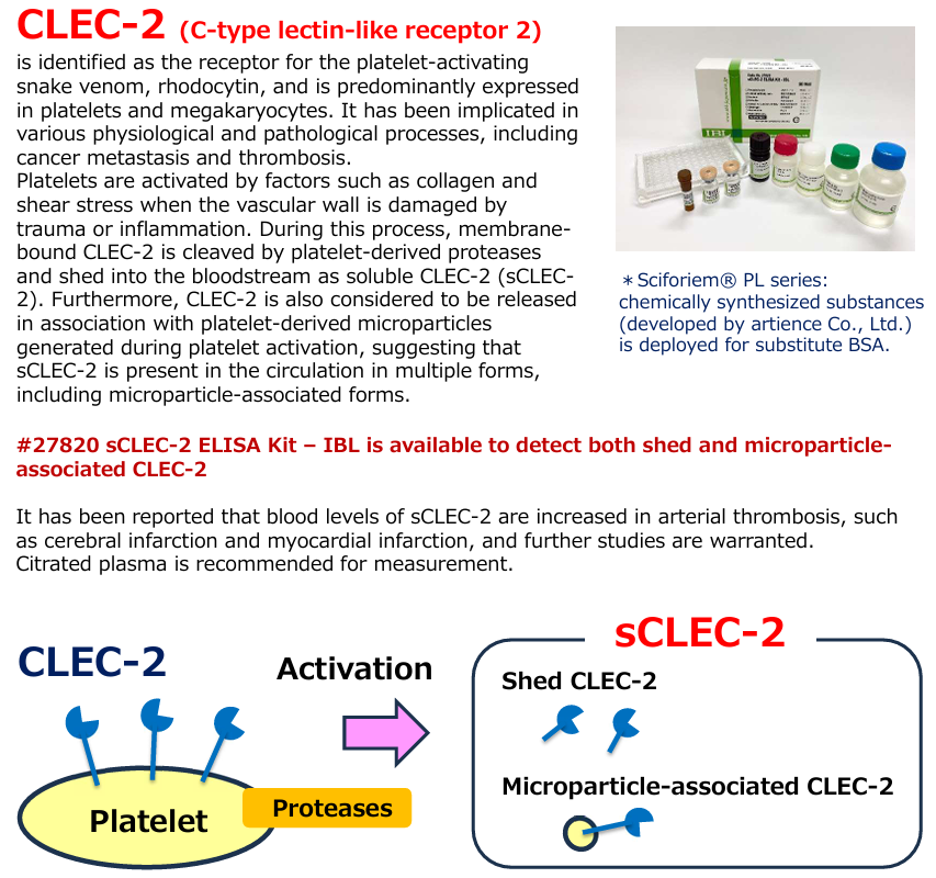 clec-2.png
