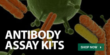 home-antibody-assays.jpg